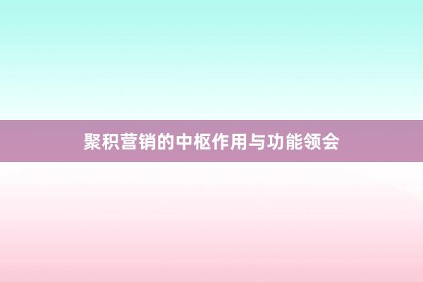 聚积营销的中枢作用与功能领会